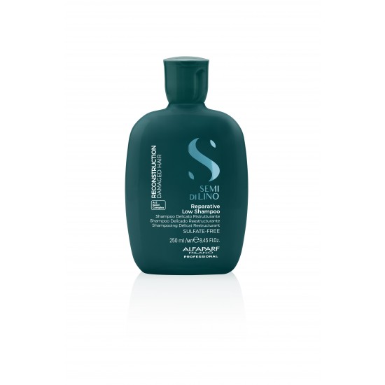 Reparative Low Shampoo - Atstatomasis šampūnas 250ml